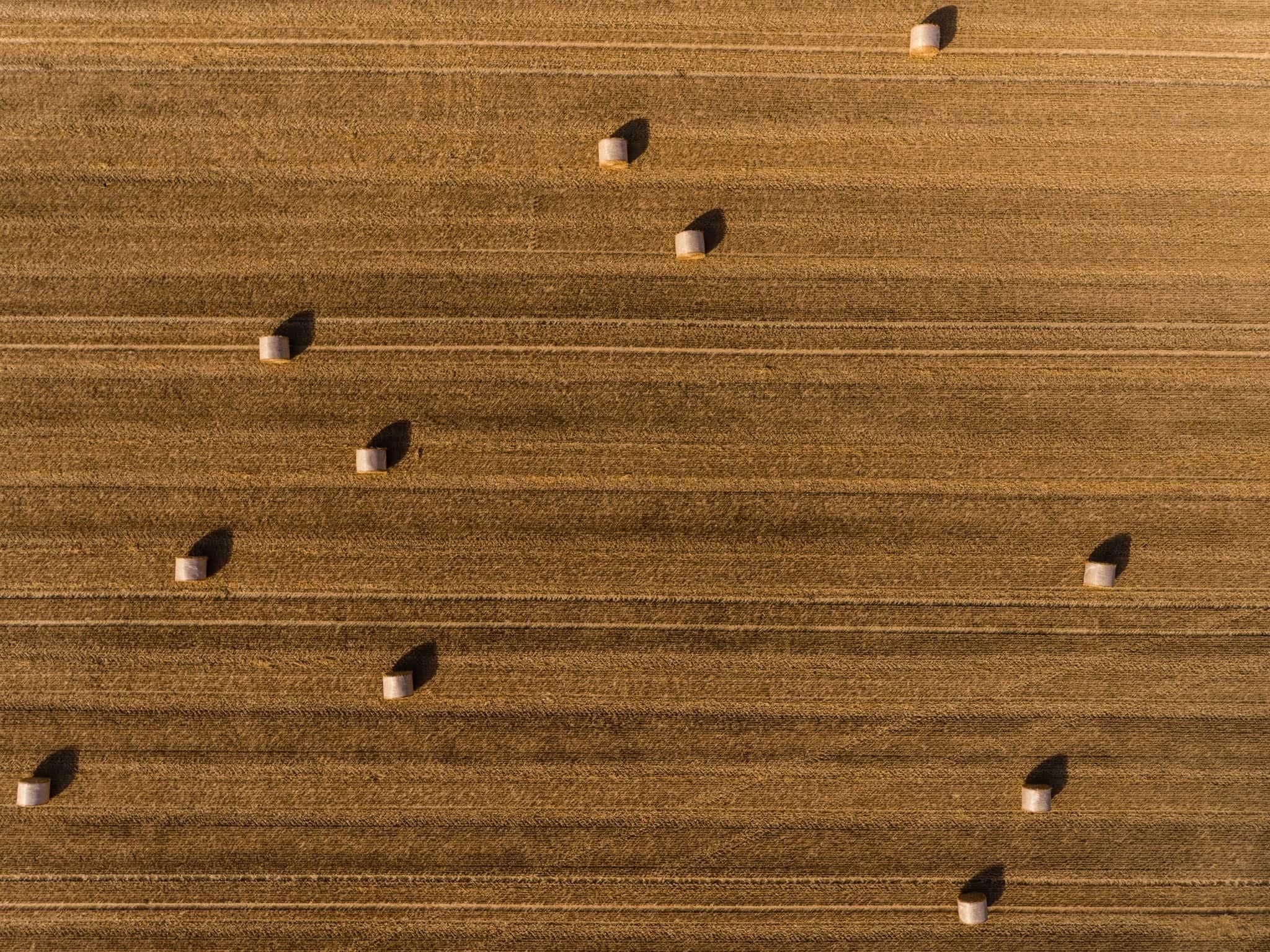 Agricultural Drainage & Farm Tiling